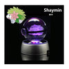 Collectors Edition Pokemon Crystal Ball 3D Figures Pokémon Engraving Model with LED Light