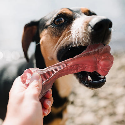 Tough Chewer Dog Bone