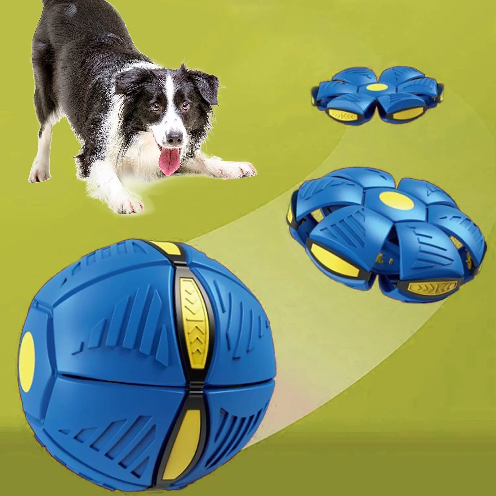 Magic UFO Ball for Dogs