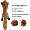 Durable Squeaky Dog Chew Toy