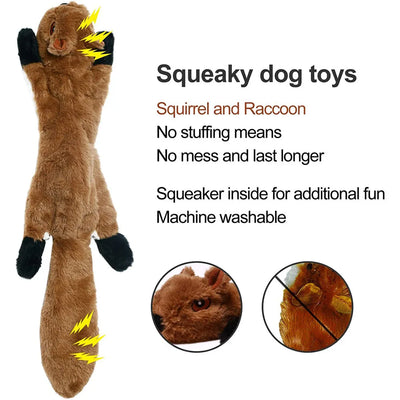 Durable Squeaky Dog Chew Toy