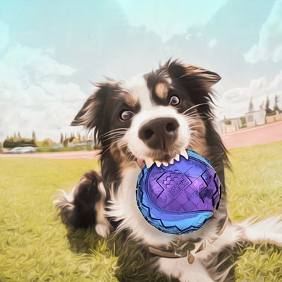 Unbreakable Dog Ball for Fun