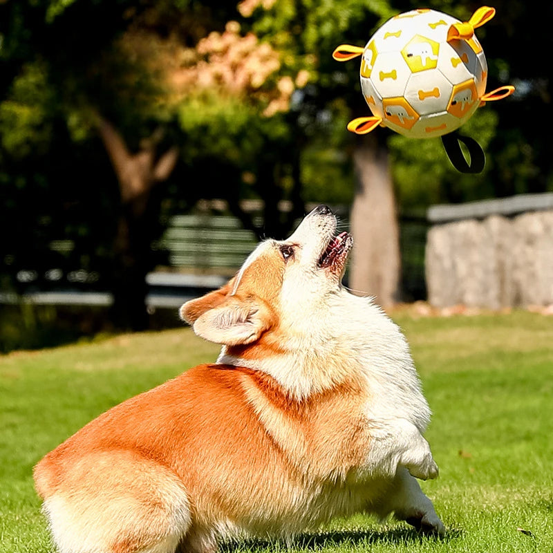 Puppy Play Soccer Ball