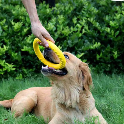 Durable Dog Training Ring