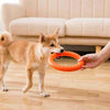 Durable Dog Training Ring