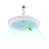 WhisperLight Ceiling Fan Oasis