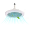 WhisperLight Ceiling Fan Oasis