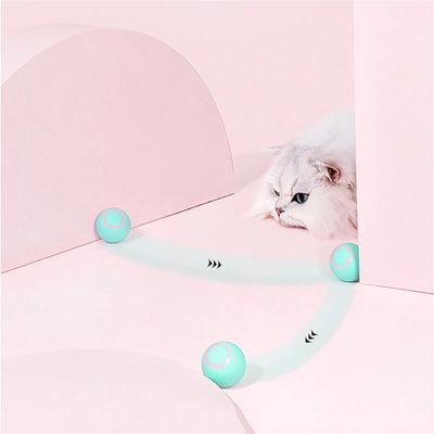 Stimulo-Cat: Auto-Rolling Playmate Ball