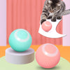 Stimulo-Cat: Auto-Rolling Playmate Ball