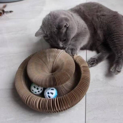 Purrfect Playtime Scratcher Ball