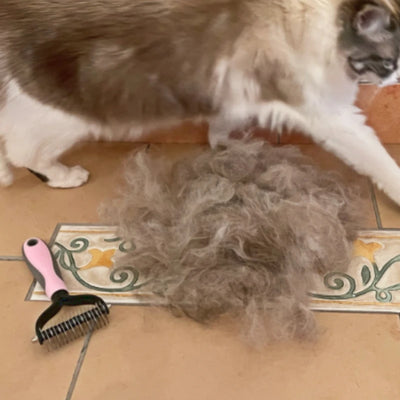 FurFinish Pet's Perfect Grooming Tool