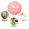 Stimulo-Cat: Auto-Rolling Playmate Ball