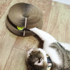 Purrfect Playtime Scratcher Ball