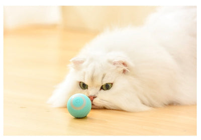 Stimulo-Cat: Auto-Rolling Playmate Ball